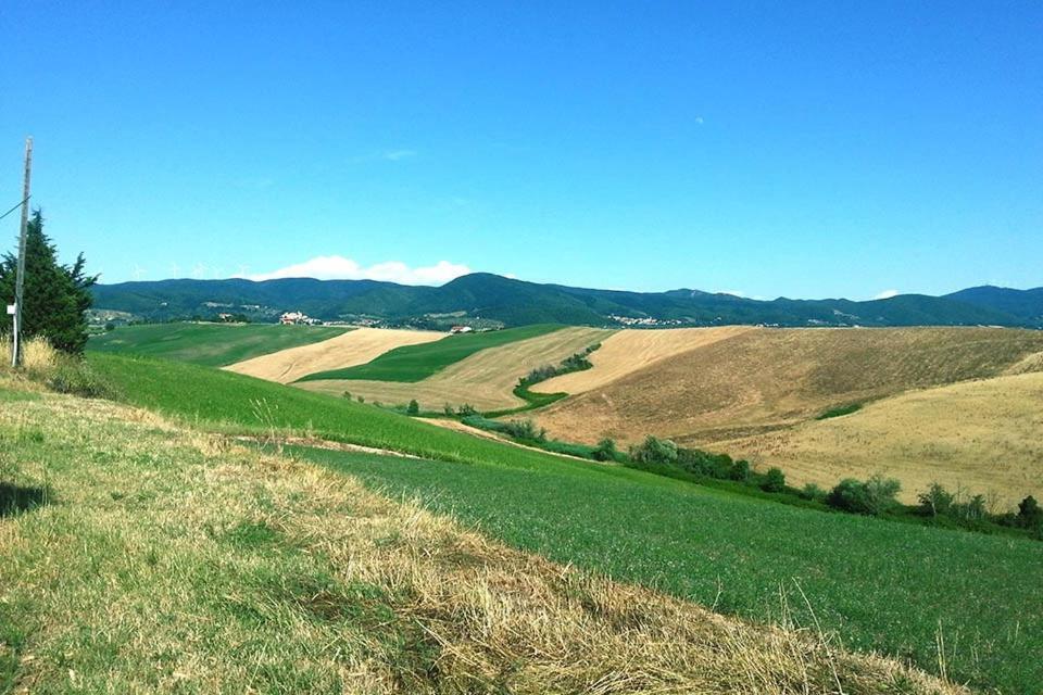 Villaggio Residence La Pieve Di Pomaia Chambre photo
